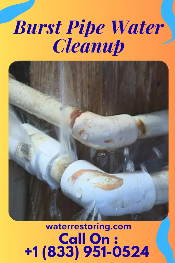 Burst Pipe Water Cleanup in Interlaken, NY