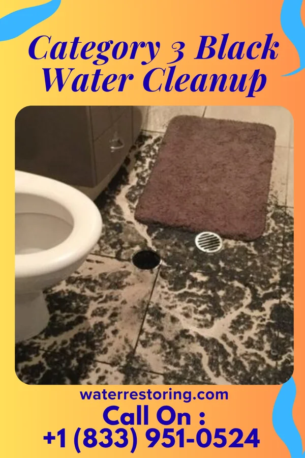 Category 3 Black Water Cleanup in Interlaken, NY