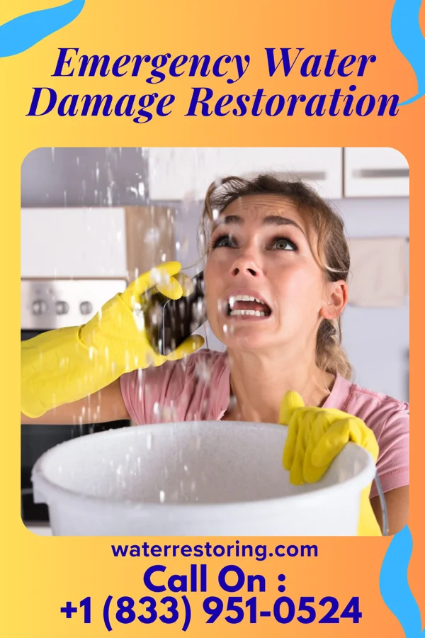 Emergency Water Damage Restoration in Interlaken, NY