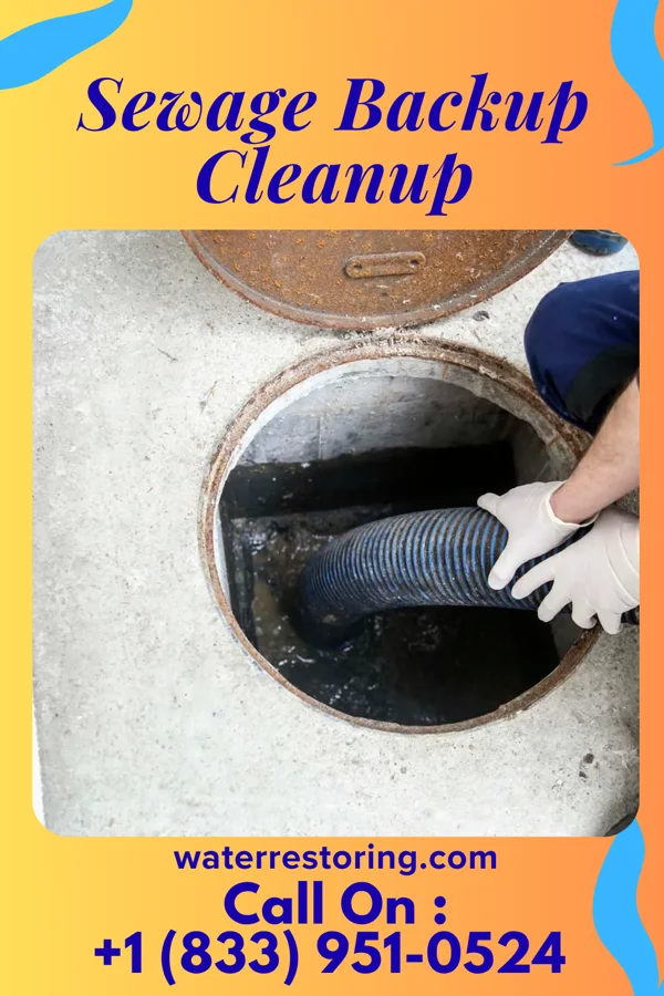 Sewage Backup Cleanup in Interlaken, NY