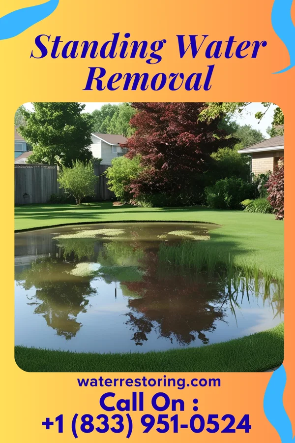 Standing Water Removal in Interlaken, NY